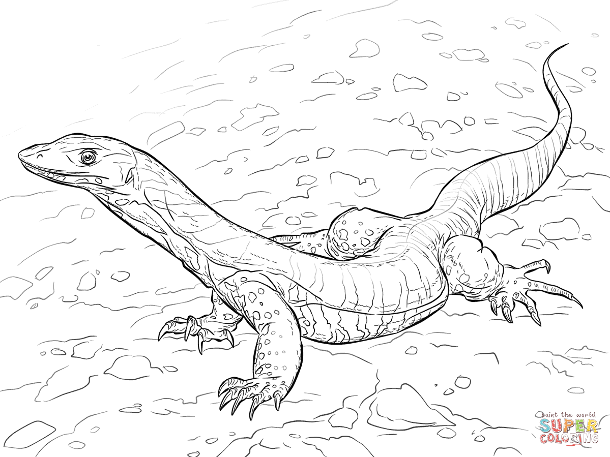 Варан раскраска для детей