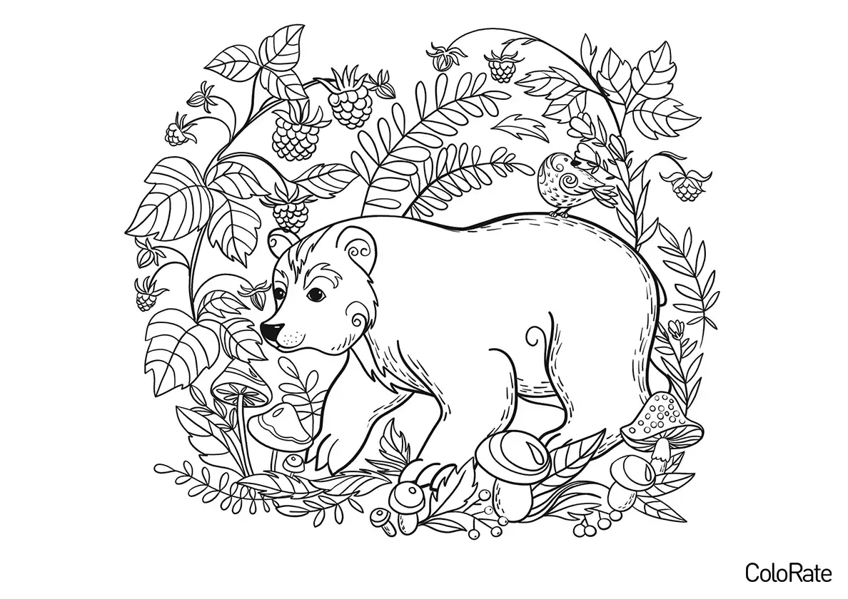 Раскраска мишка с корзинкой