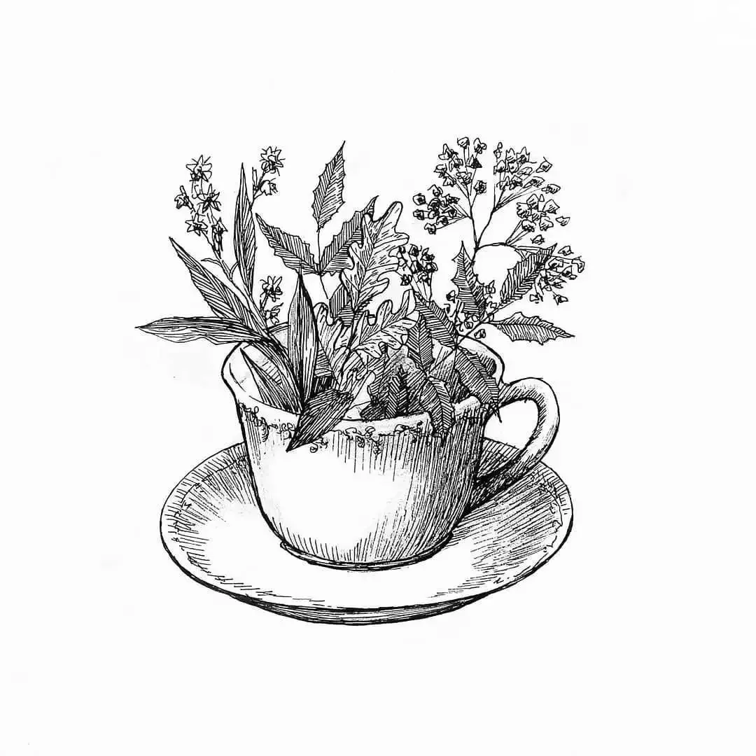 Ветреница лютичная