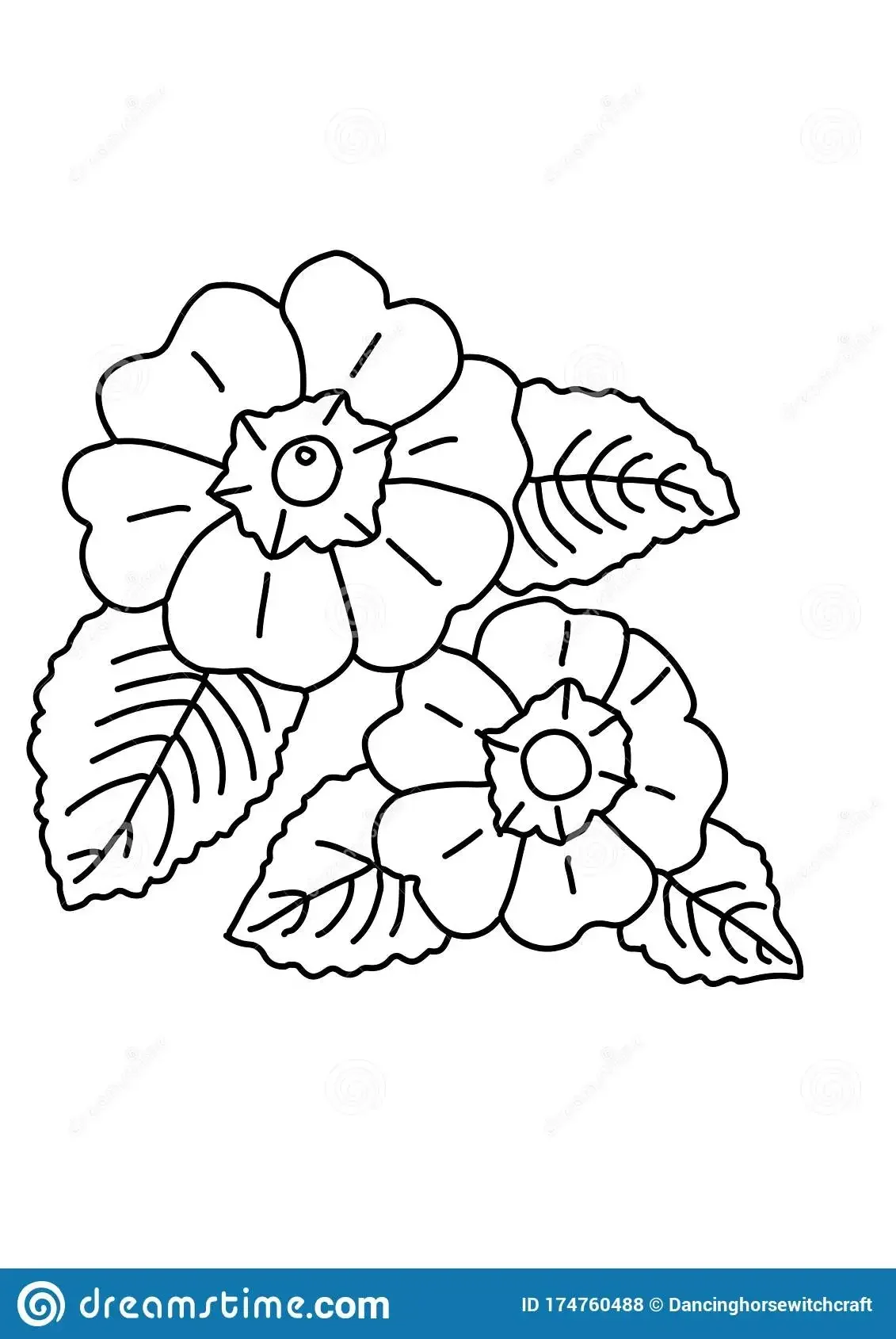 Ирис цветок раскраска для детей