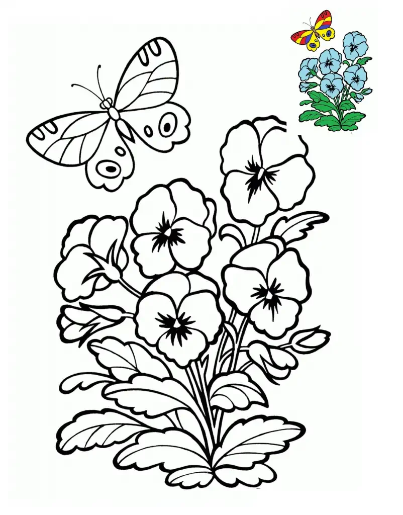 Раскраска цветы первоцветы
