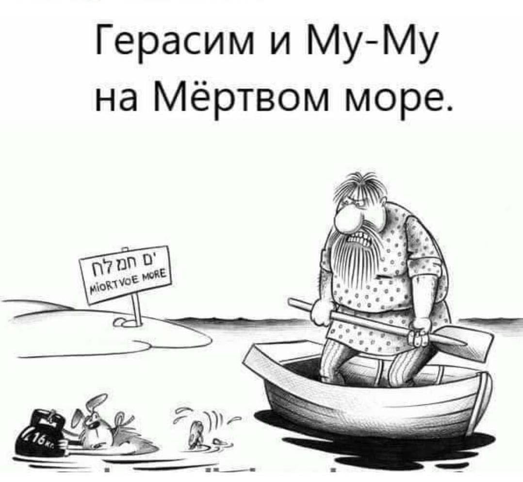 Герасим и Муму карикатура