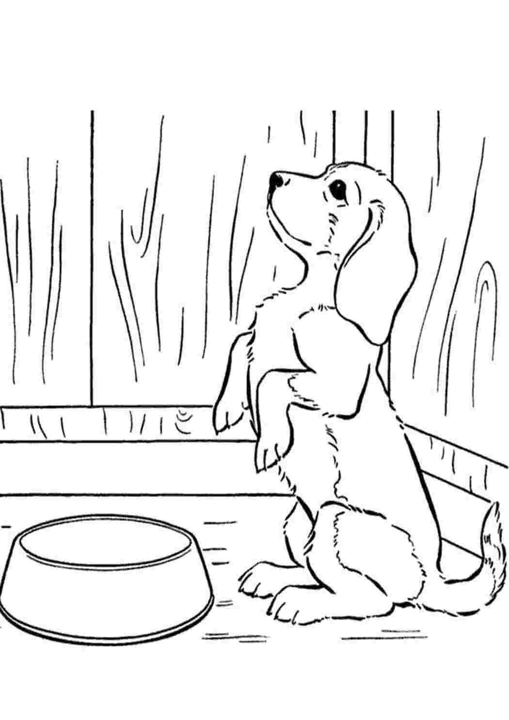 Иллюстрация к Муму рисунок