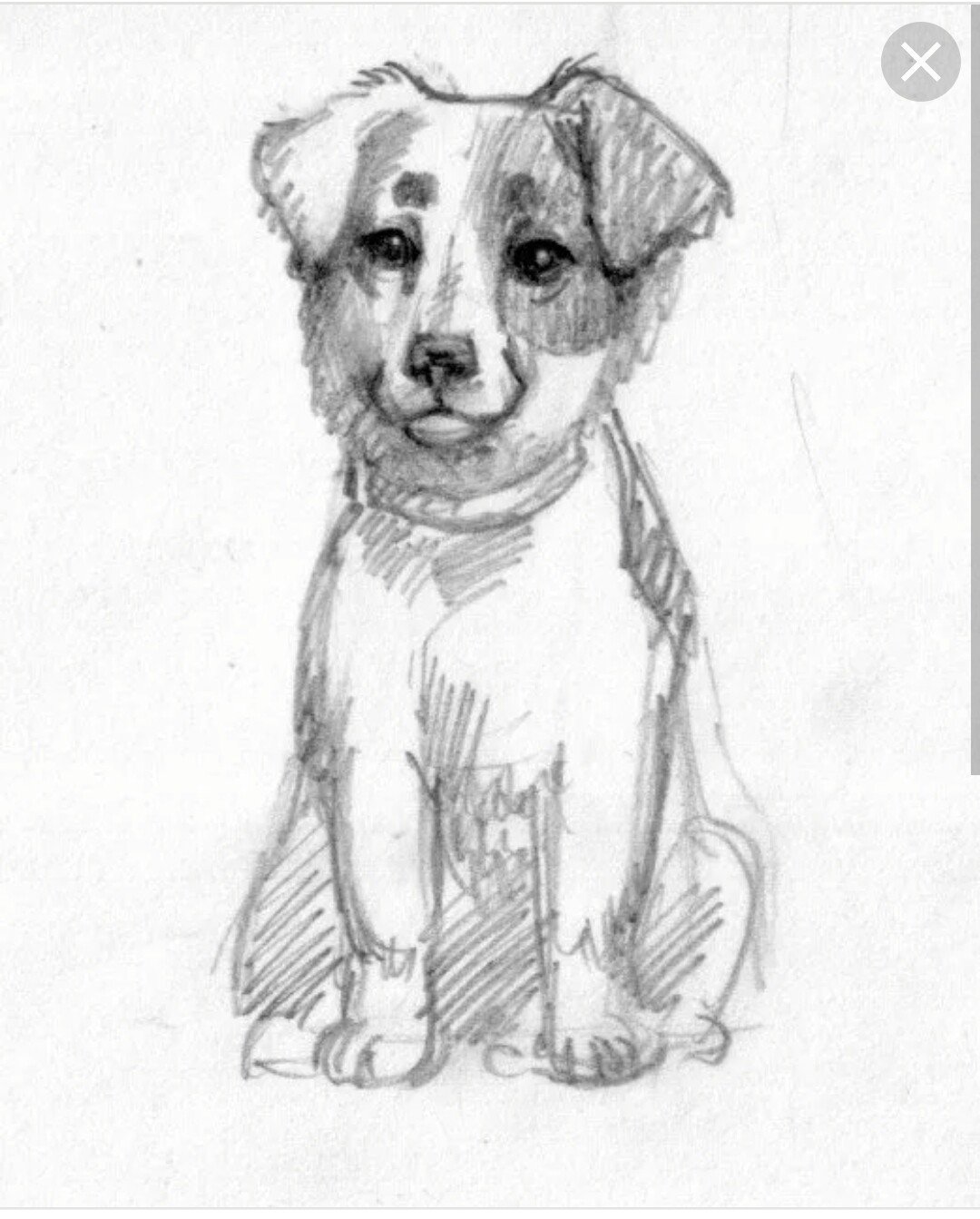 Муму пейзаж озеро с собакой