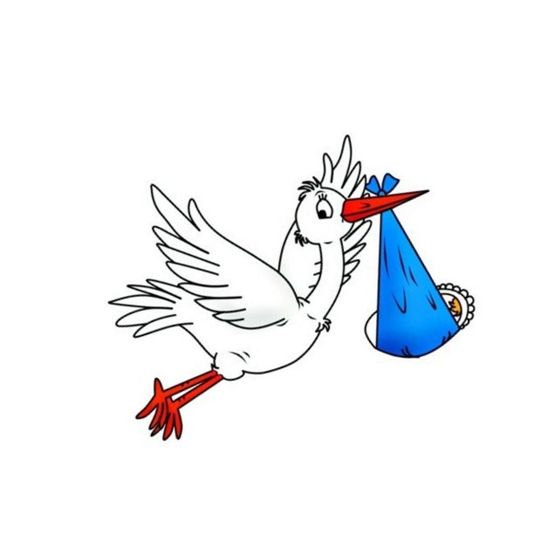 Аист раскраска для детей