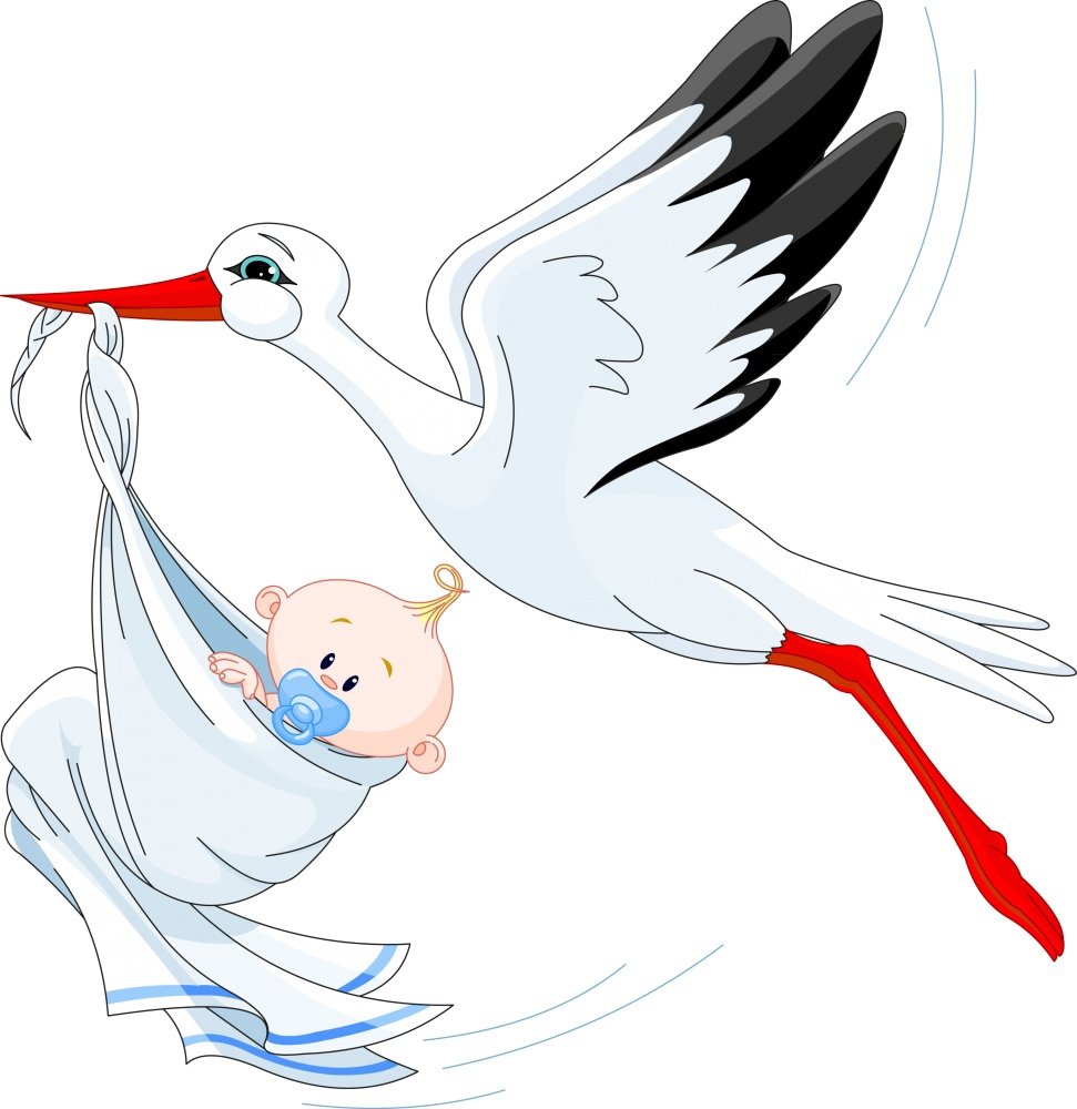 Аист несет ребенка