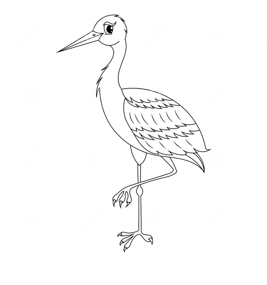 Аист раскраска