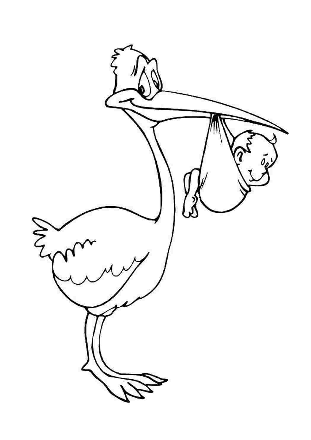 Аист раскраска