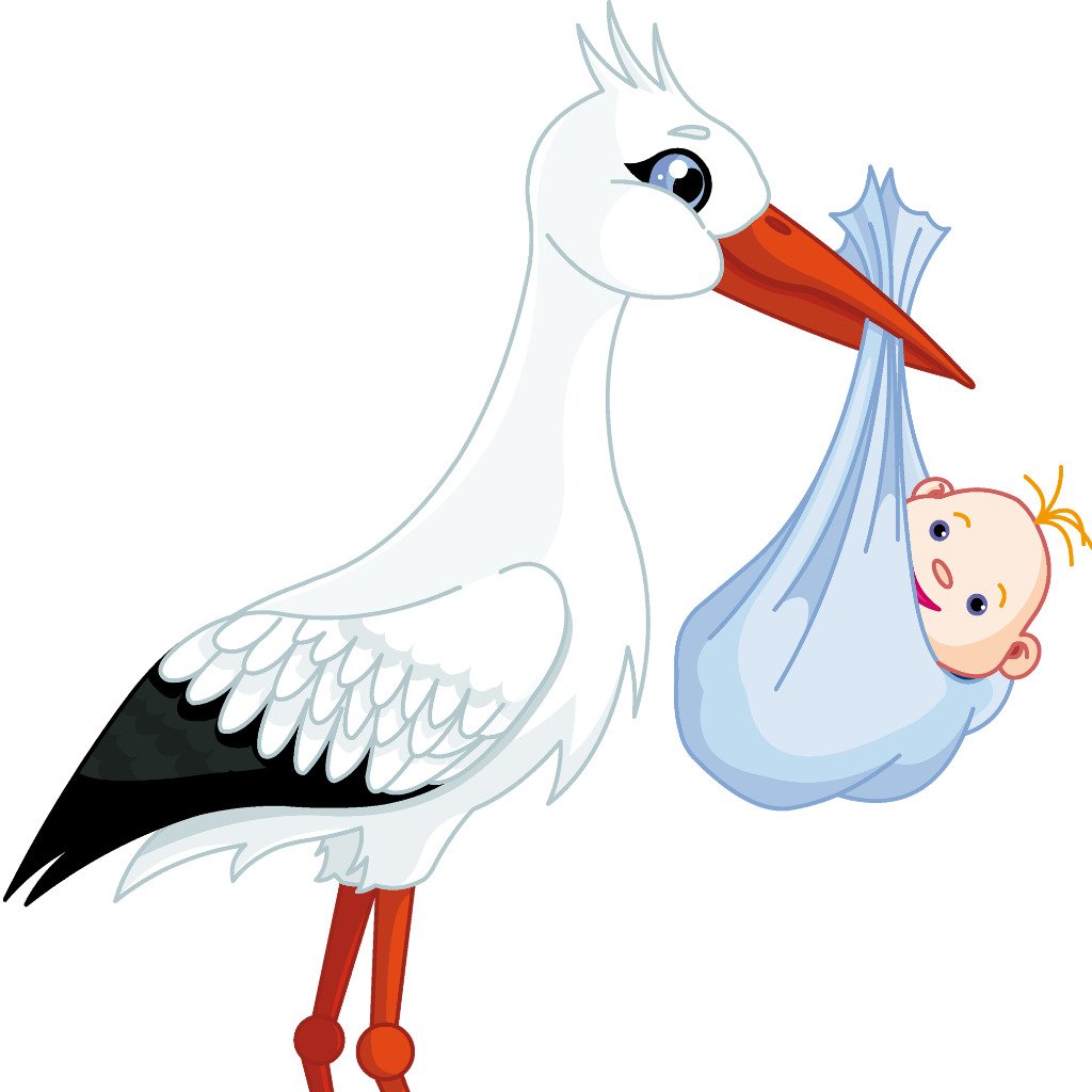 Аистенок раскраска