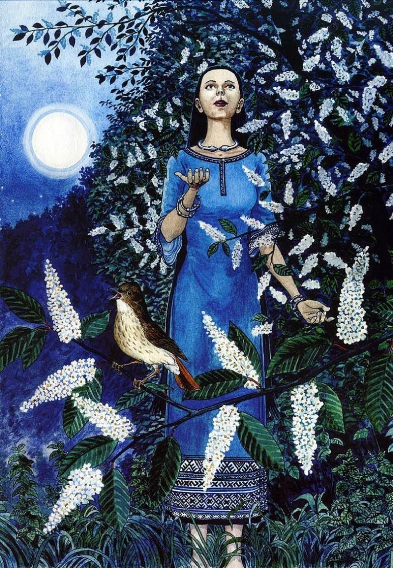 Ястреб-тетеревятник Вадим Горбатов