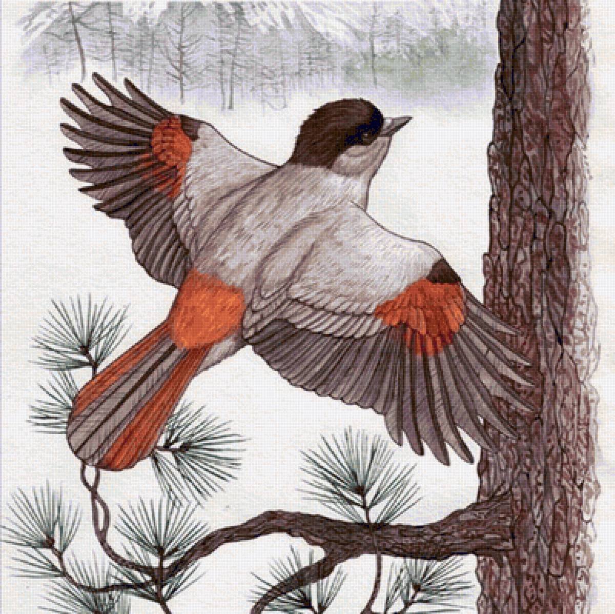 Сказы Бажова хрупкая веточка