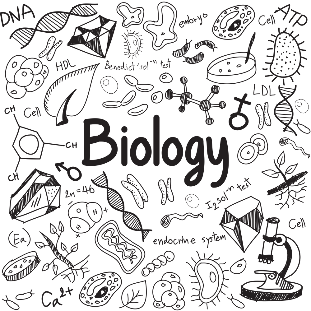 Блокнот с ручкой раскраска