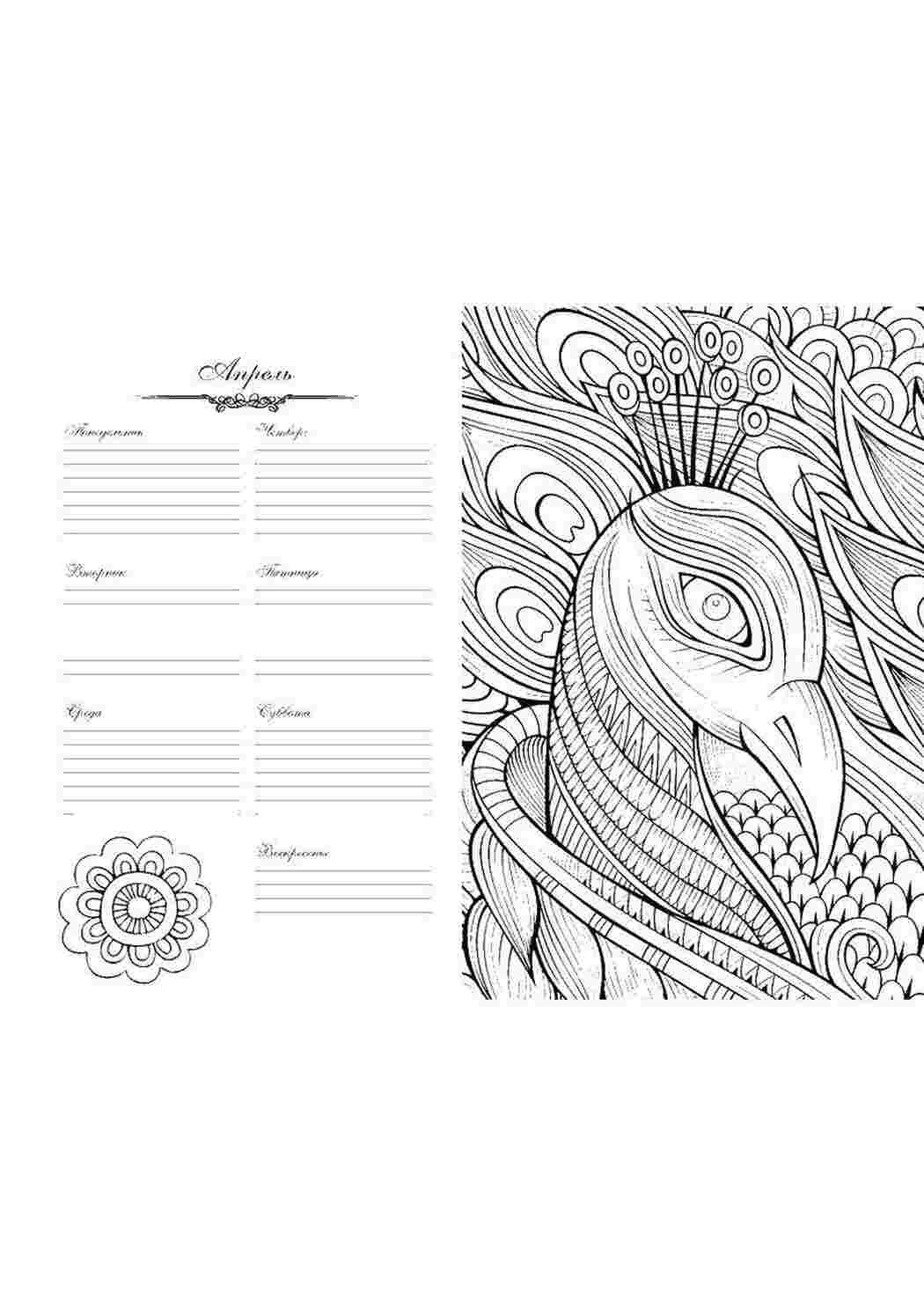 Оригинальные обложки на тетради