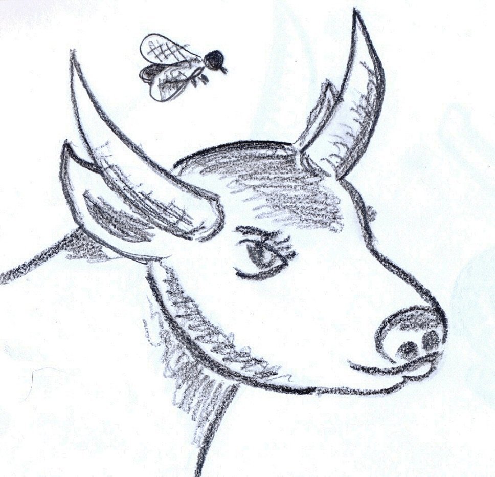 Иван Иванович Дмитриев Муха