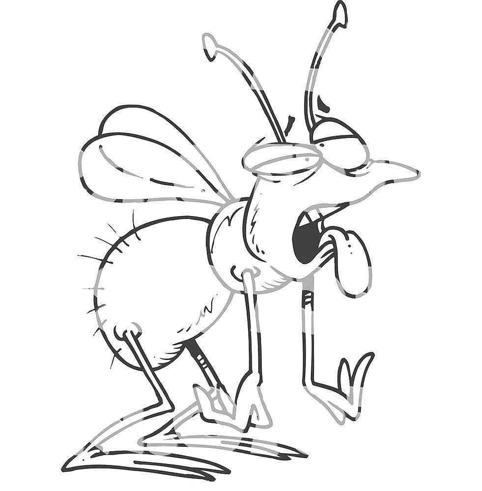 Евгений Чарушин вольные птицы