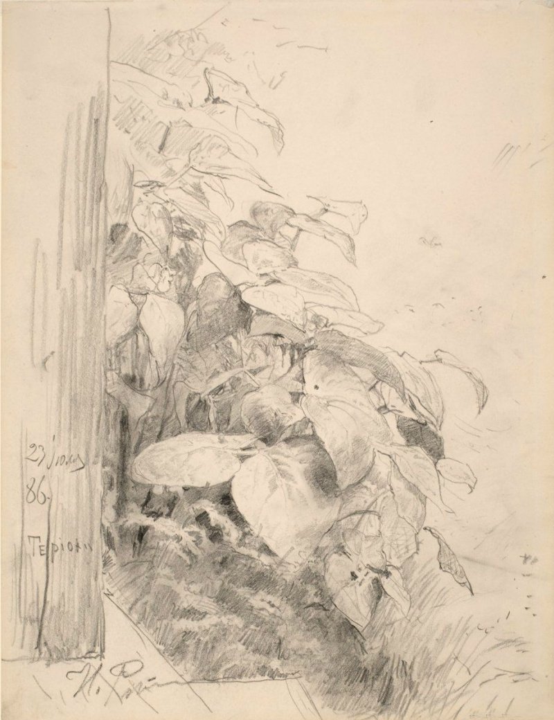 Илья Репин портрет Короленко