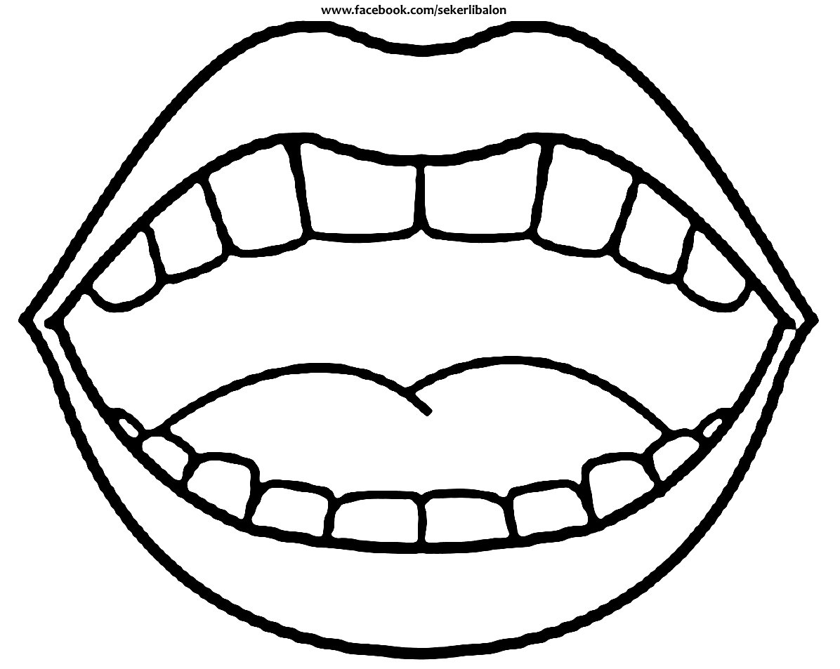 Раскраска зуб