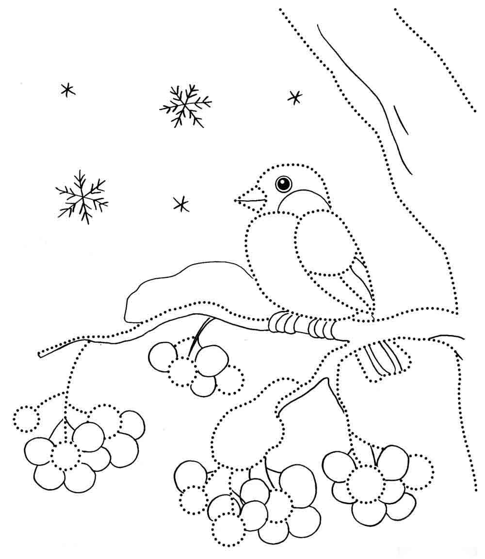 Снегирь на ветке раскраска