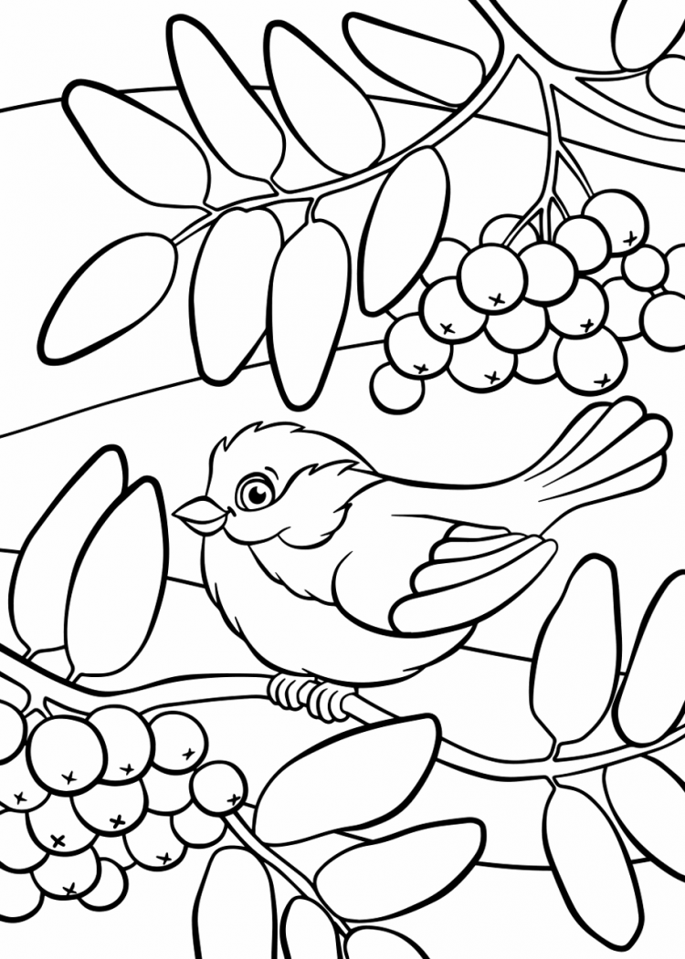 Развивающие задания для детей Снегирь