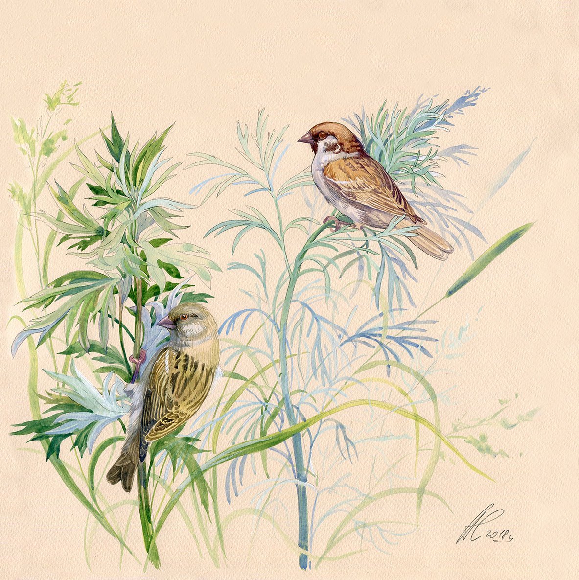 Раскраска сказка про воробья Мамина-Сибиряка