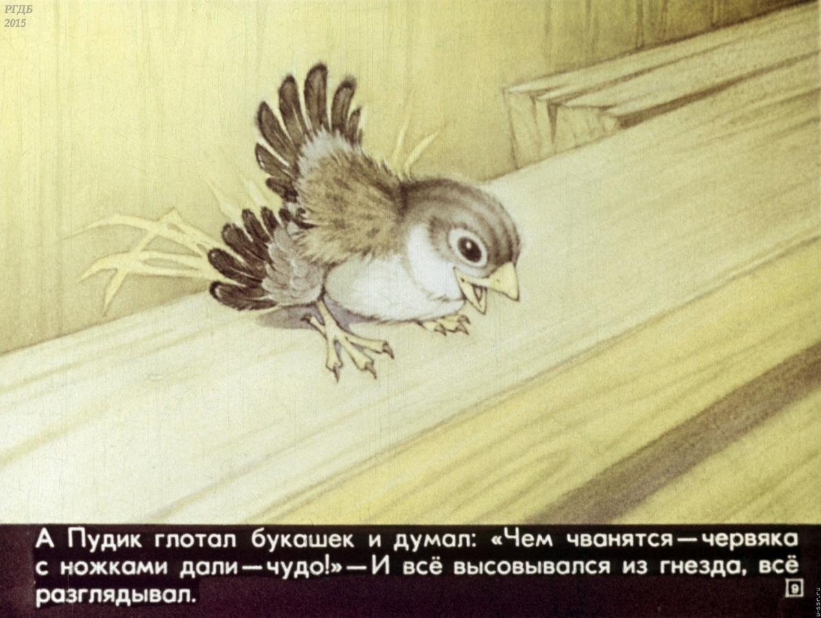 Ерш рыба Кунгурская Воробьев