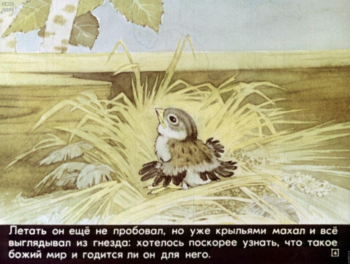 Воробей летит