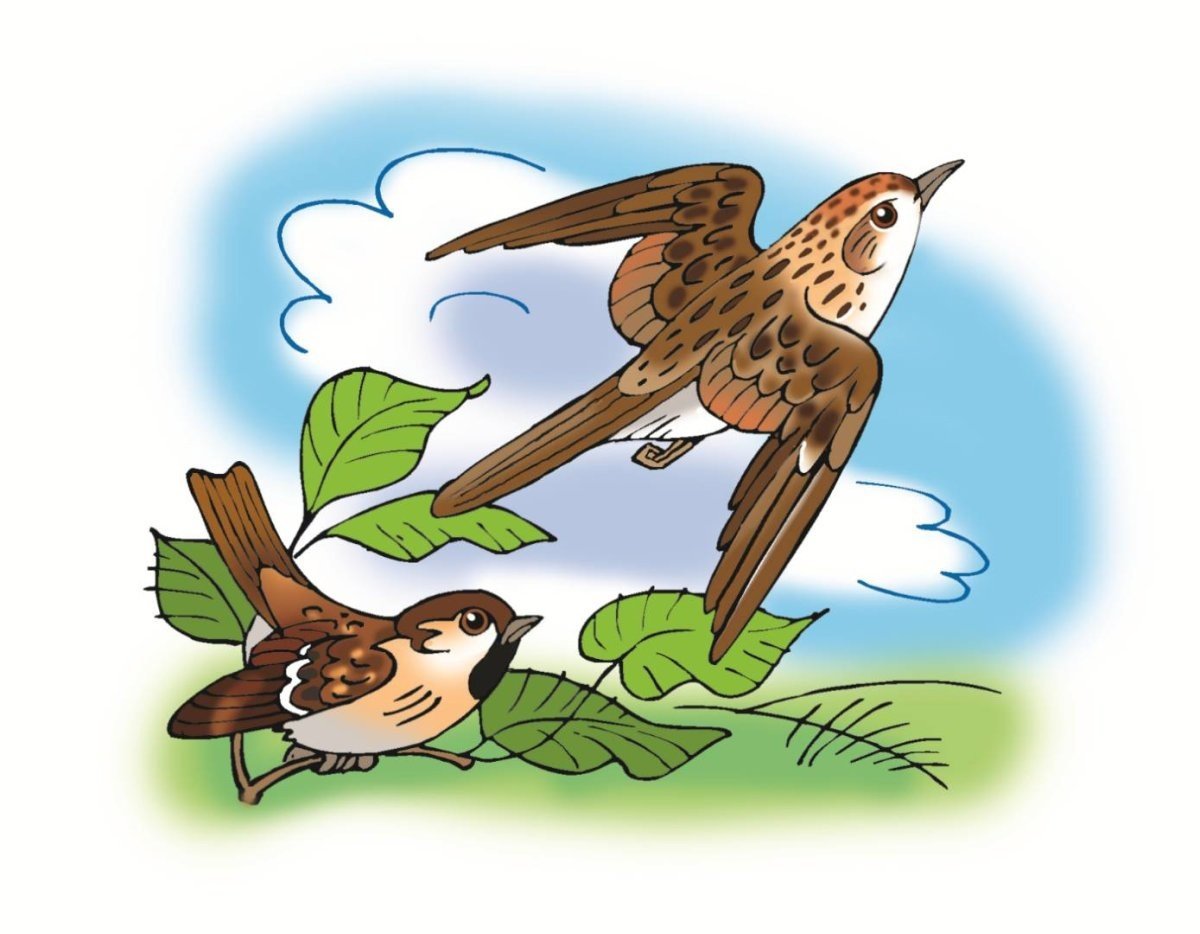 Воробьи зимой раскраска