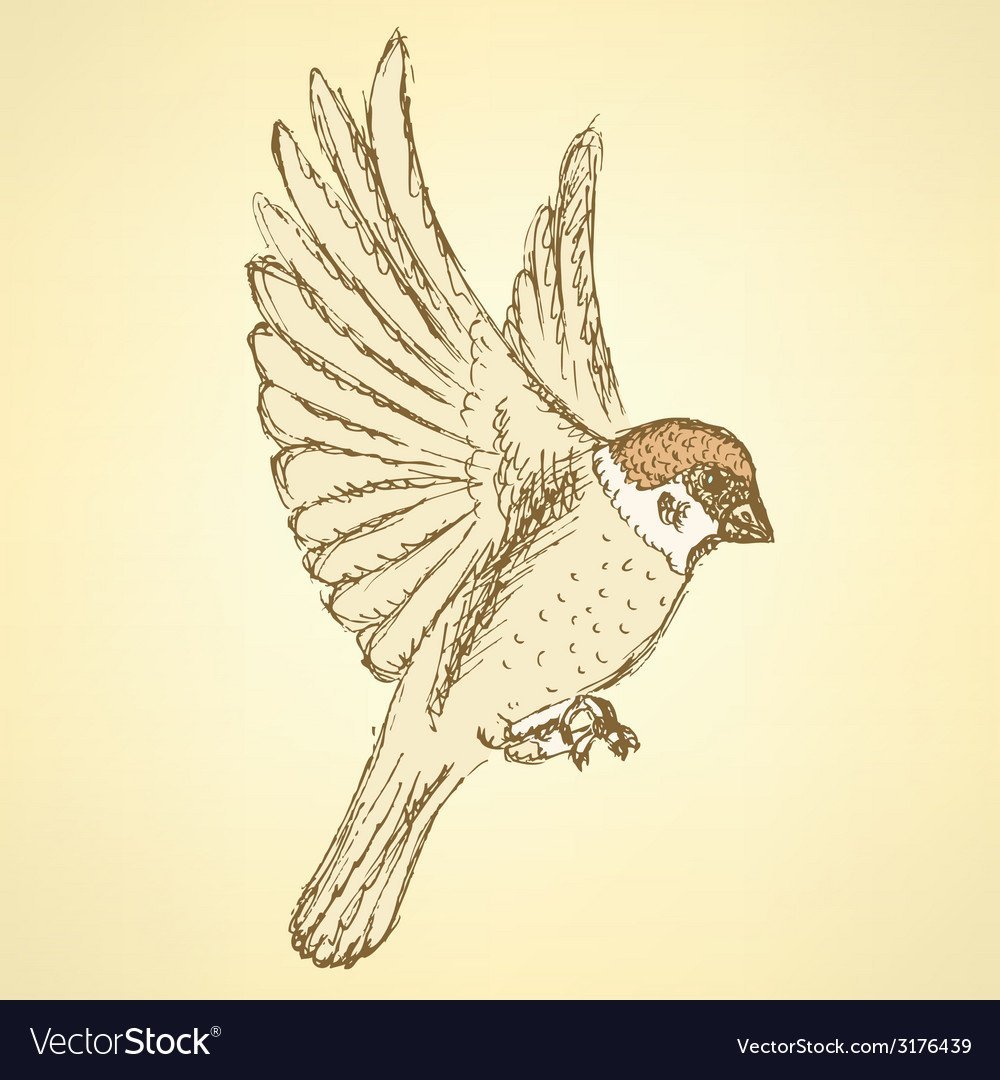 Сказочный Воробей