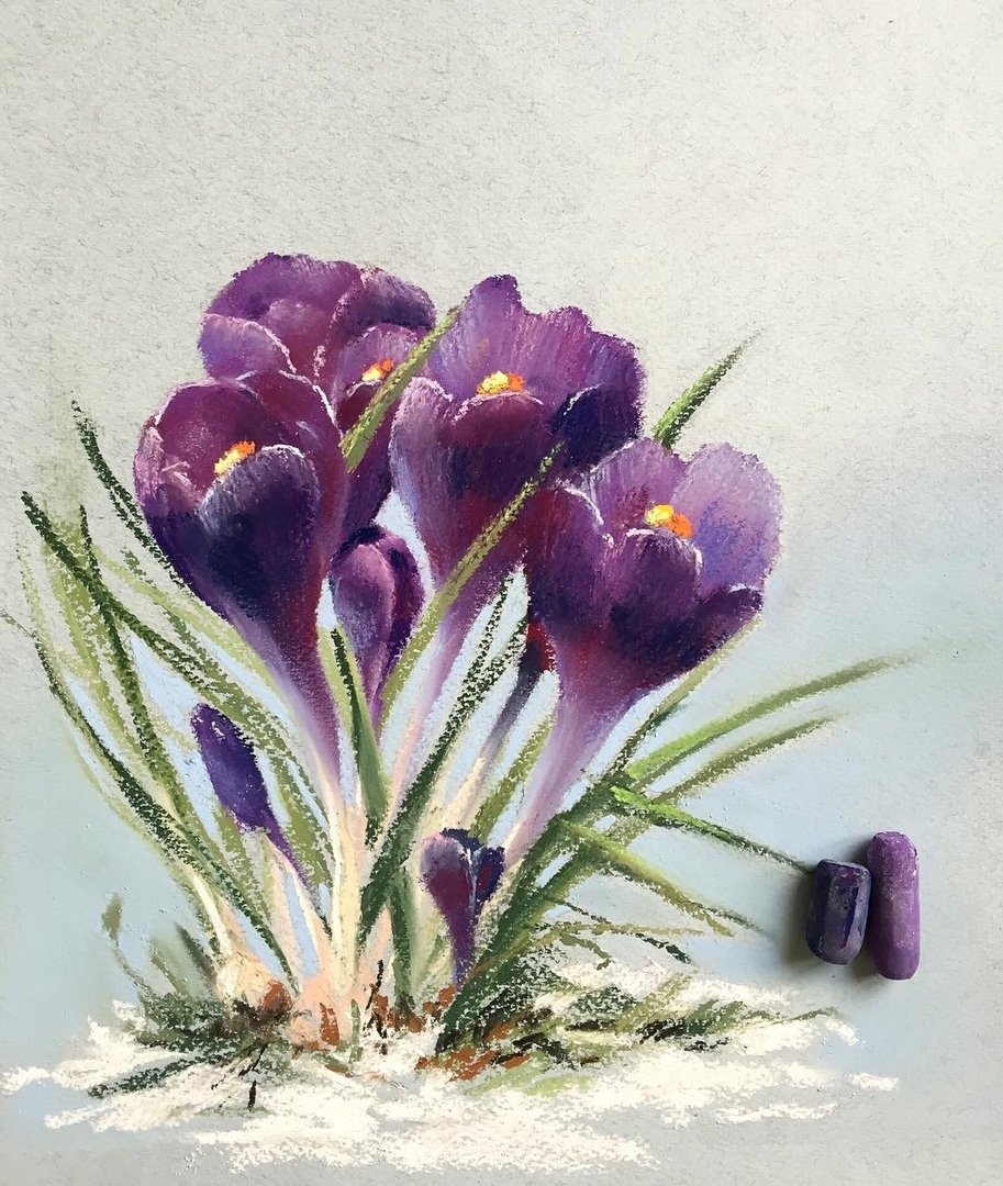 Безвременник ботаника