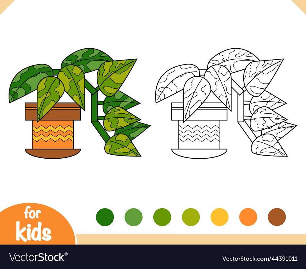 Фотосинтез картинки