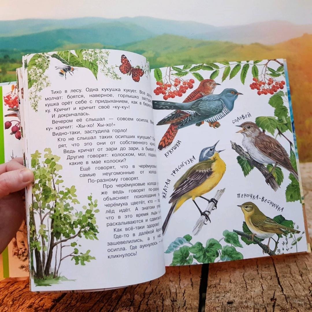 Борис Житков как слон спас хозяина от тигра