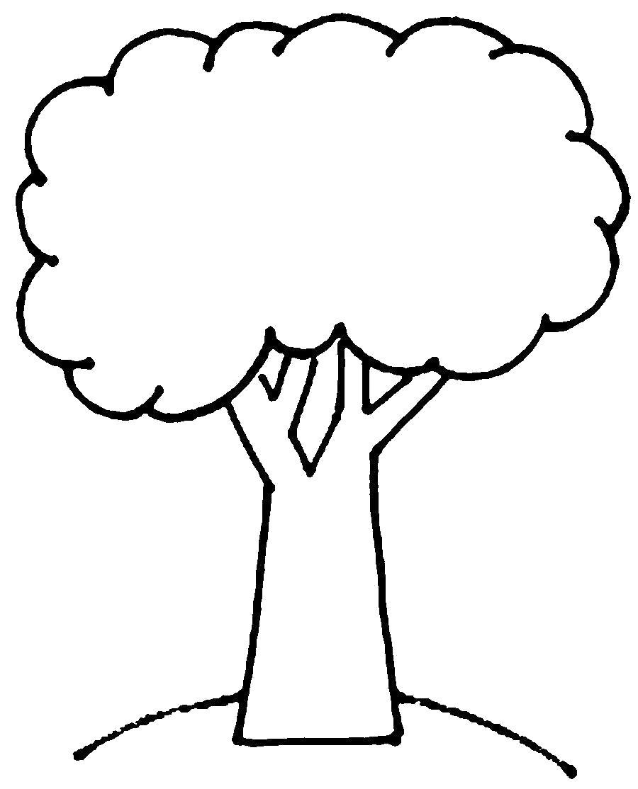 Крона дерева контур