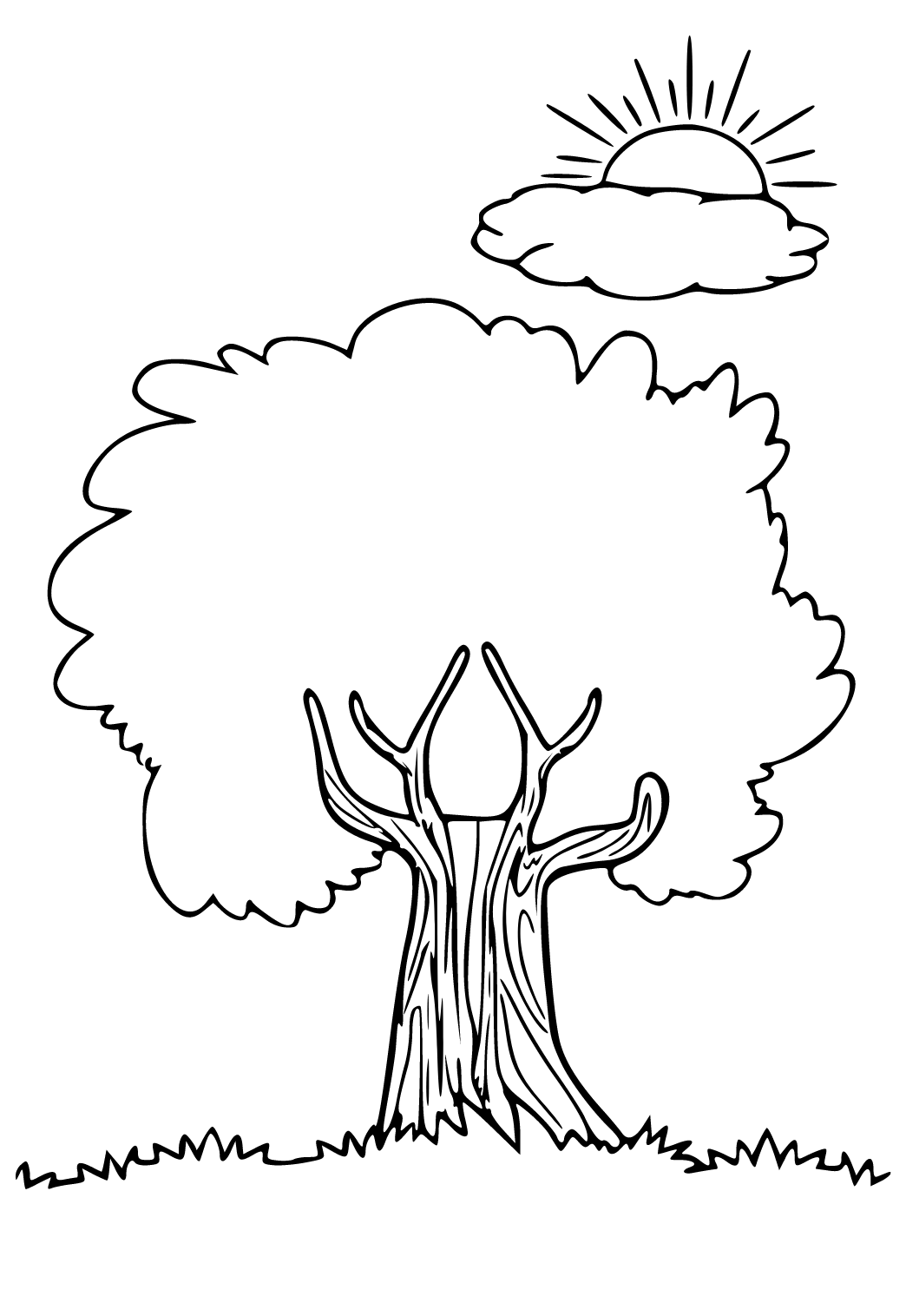 Дерево контур для вырезания