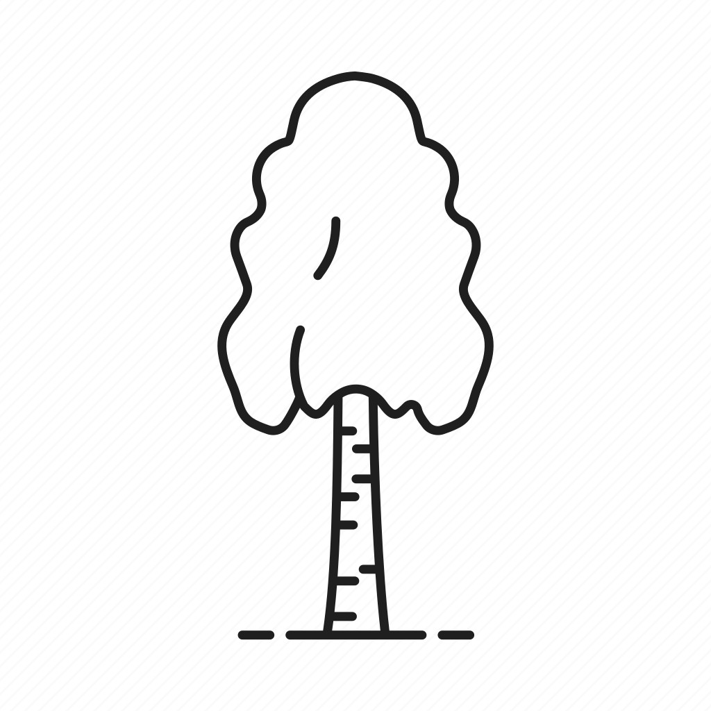 Крона дерева раскраска для детей