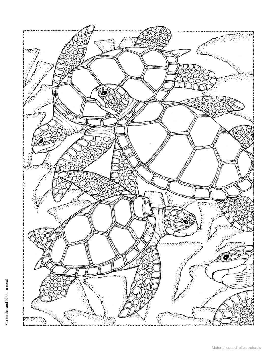 Математическая раскраска рыбки для детей