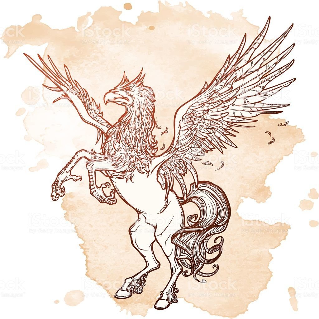 Гиппогриф тату эскиз