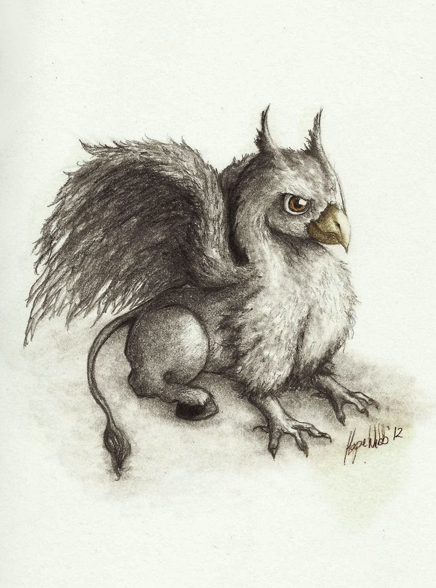 Фантастические птицы для раскрашивания