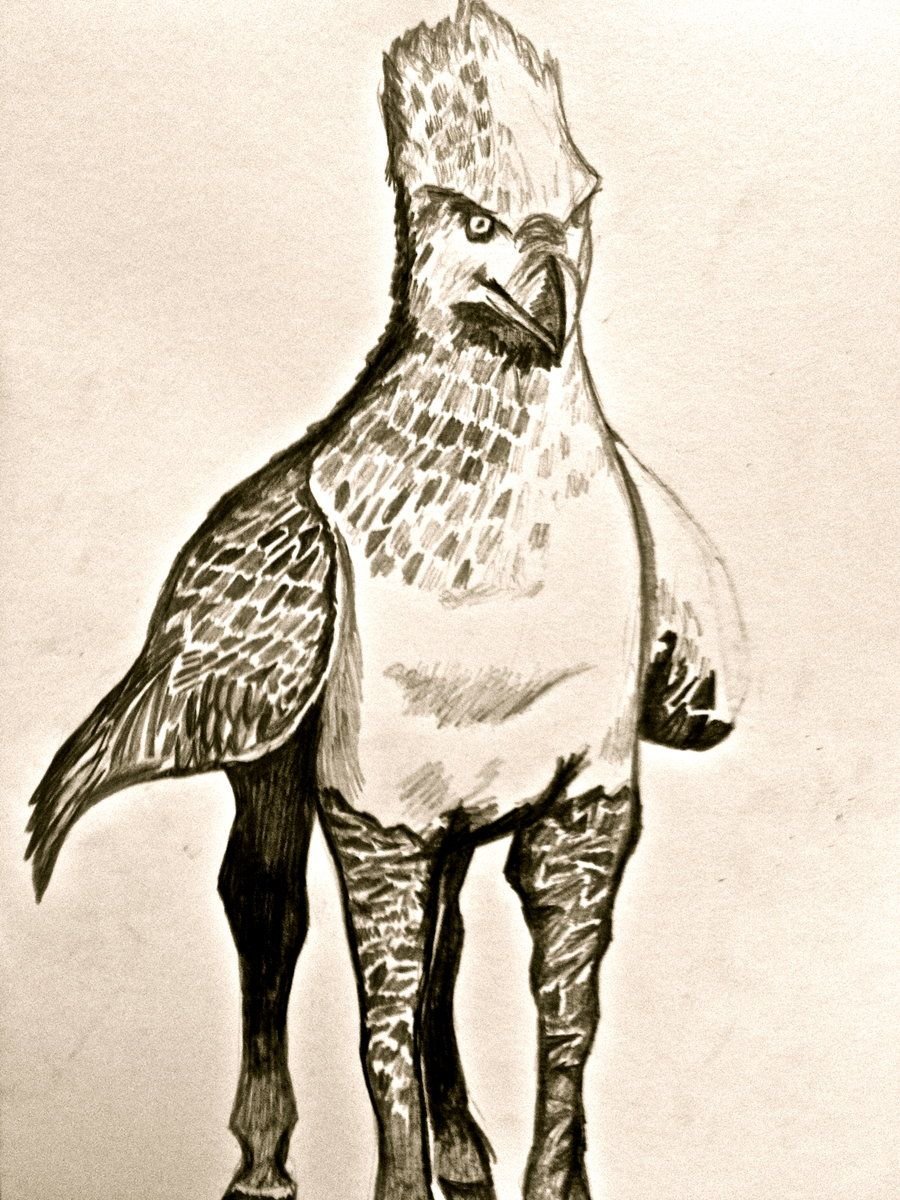 Гиппогриф Клювокрыл набросок