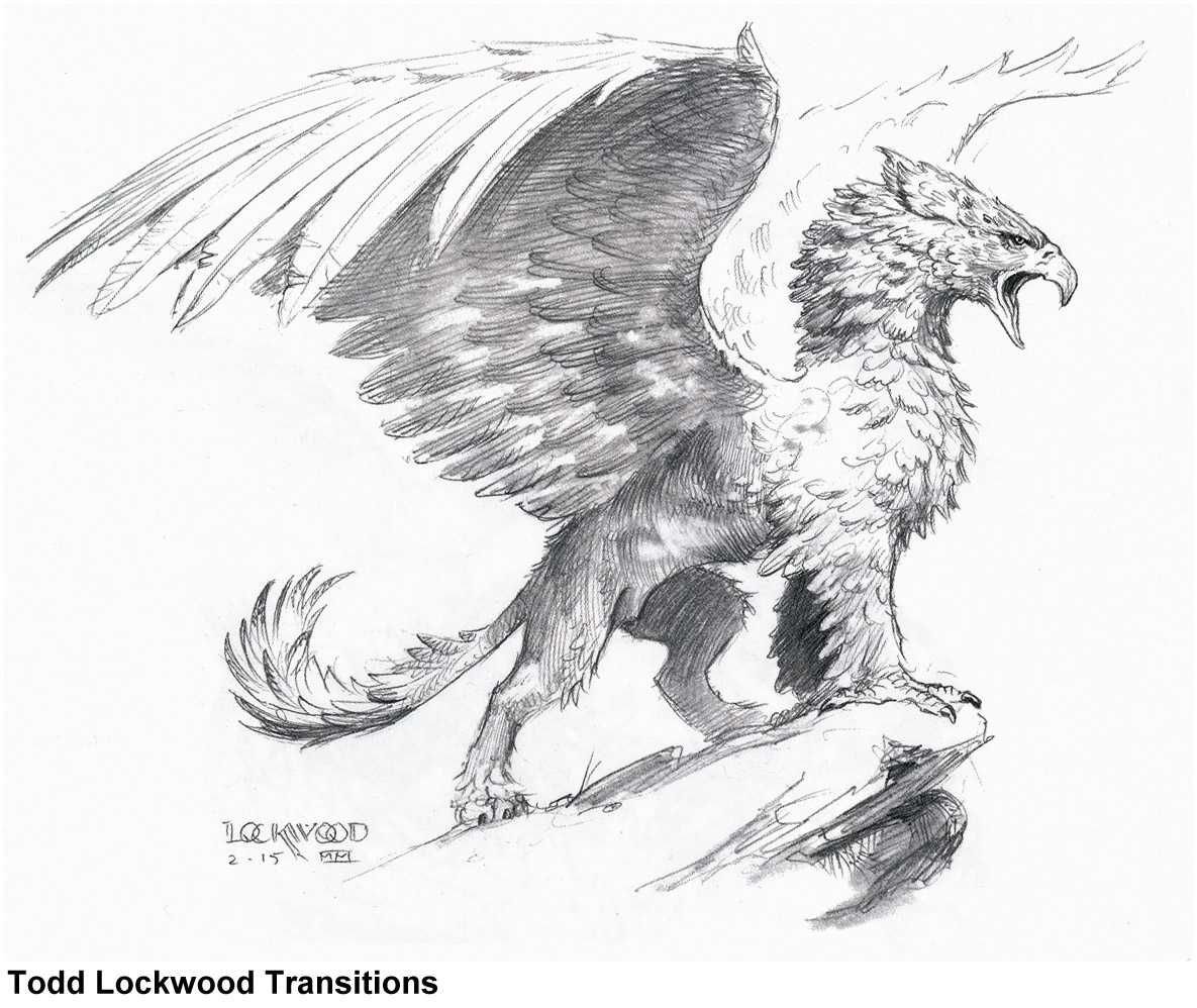 Раскраска Гарри Поттер Букля