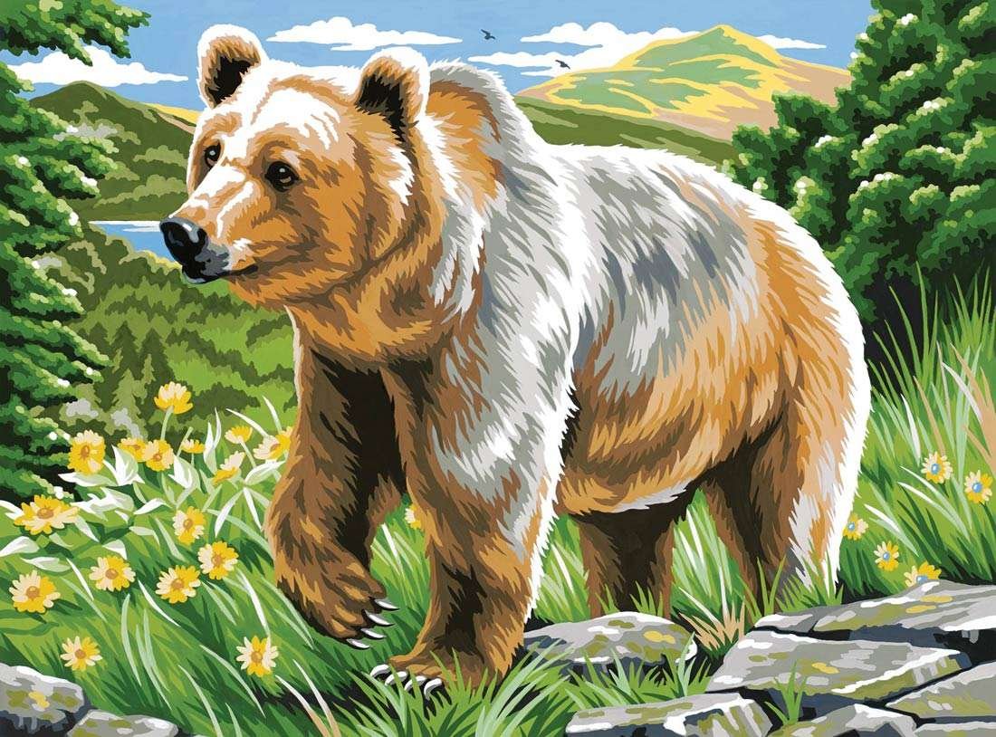 Нарисовать красивого медведя