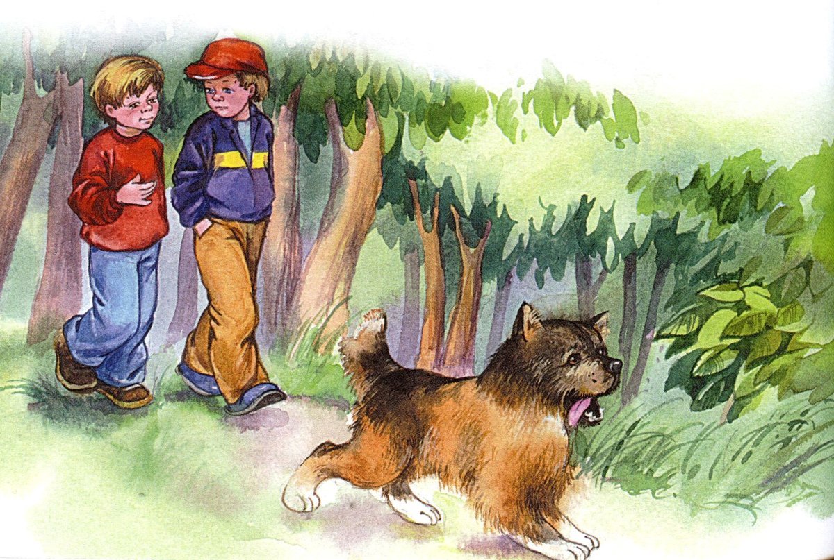 Медведь раскраска