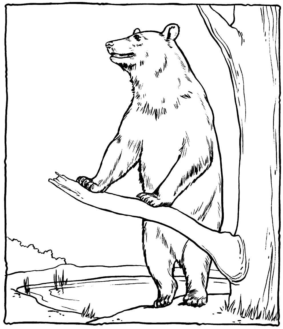 Рассказ по серии сюжетных картинок