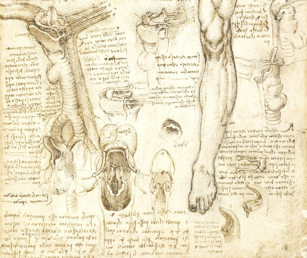 Портрет Мона Лиза раскраска