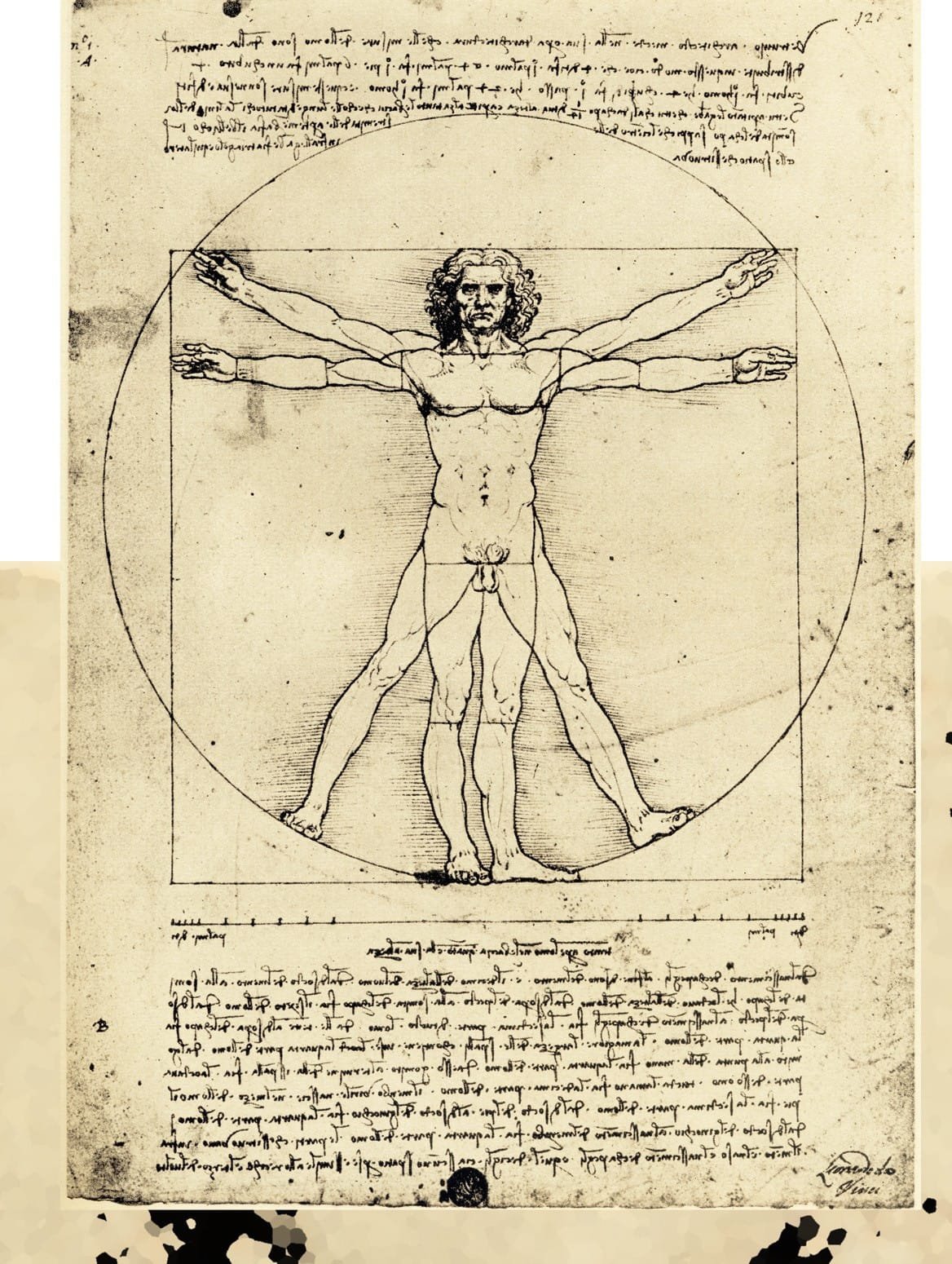 Эскизы Леонардо Давинчи