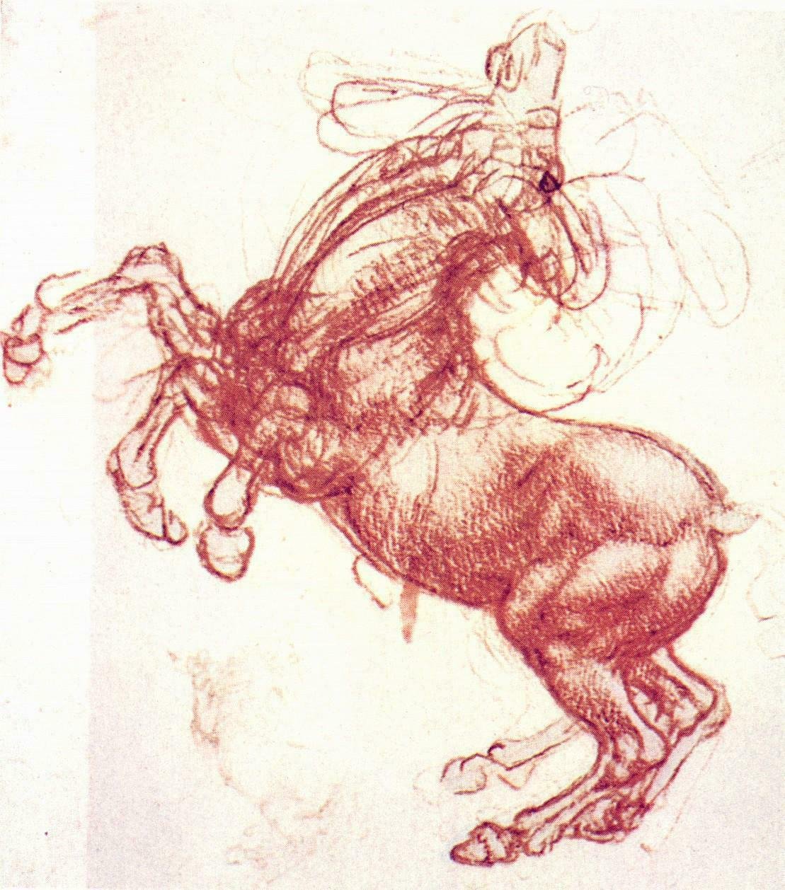 Чертежи Леонардо да Винчи Витрувианский человек