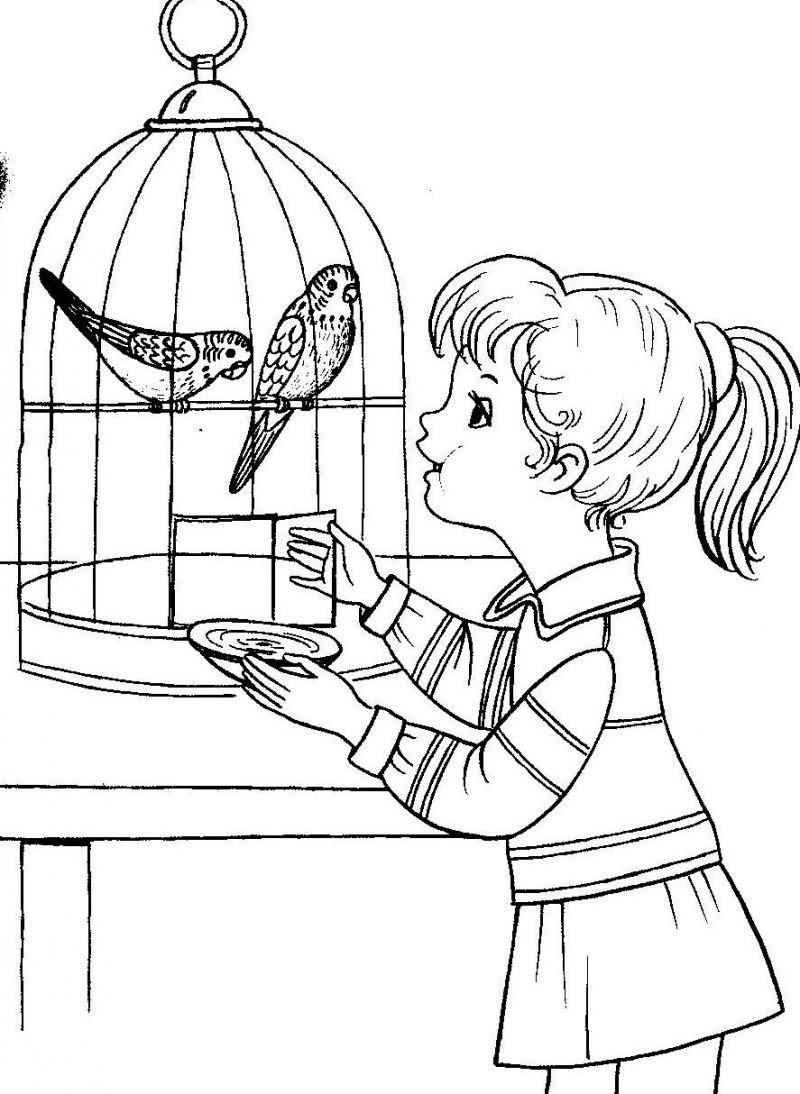 Зимующие птицы раскраски для детей