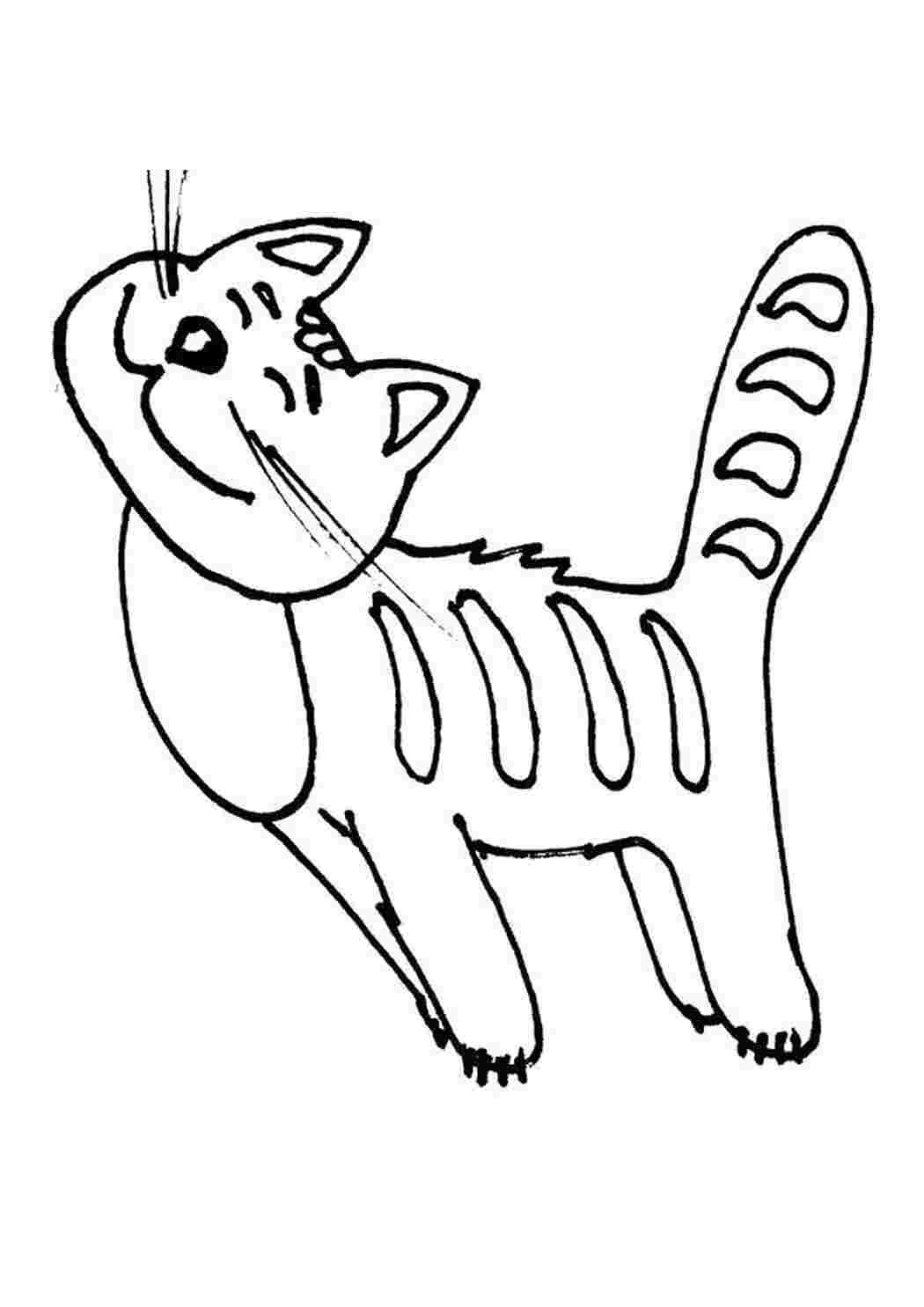 Раскраска кошка полосатая