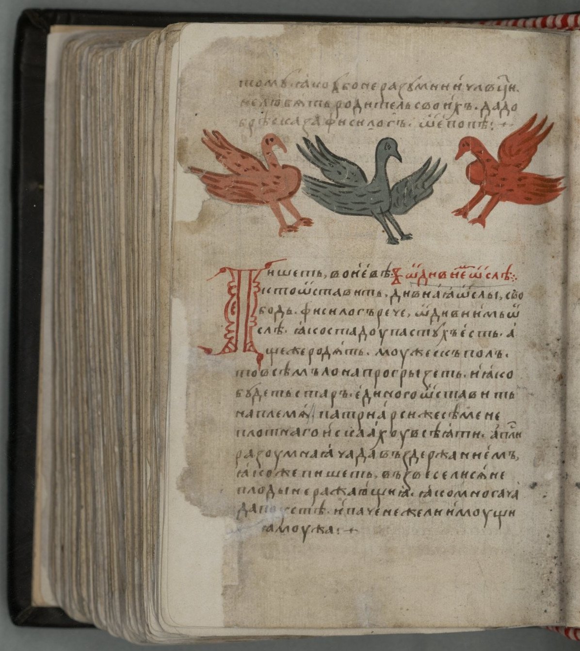 Физиолог книга древней Руси