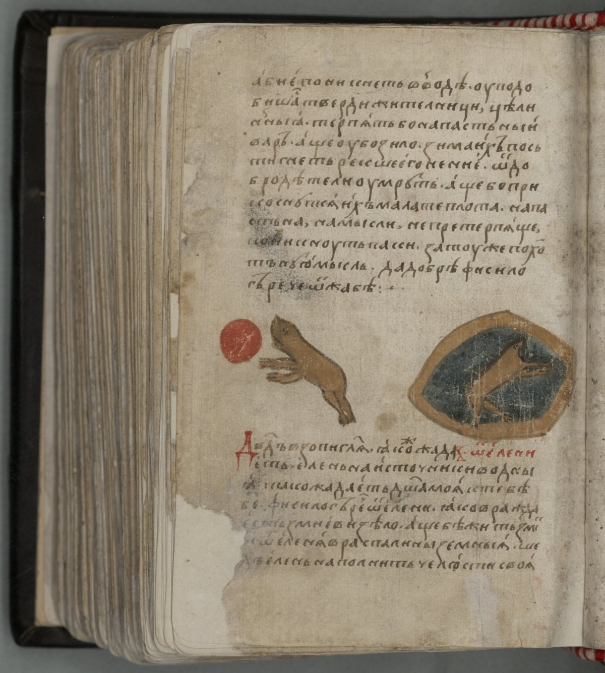 Древнерусская литература древнерусские книги