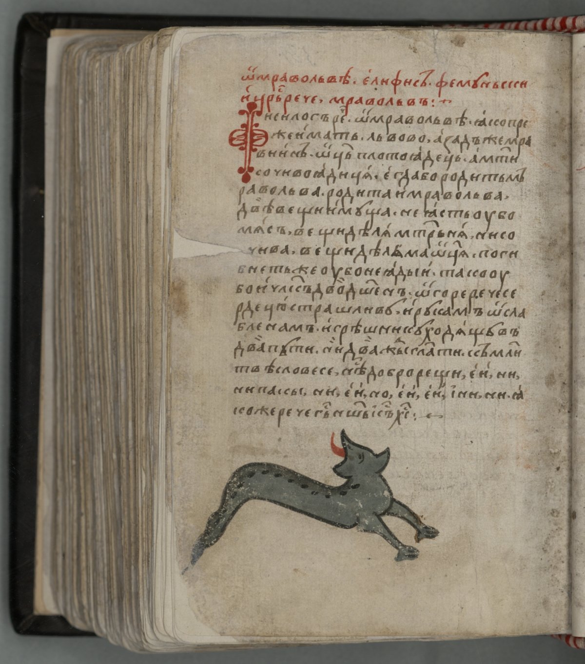 Изборник Святослава 1073 г миниатюры